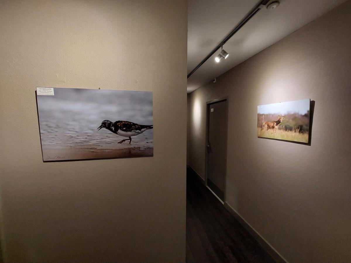 Logis Hotel - Les Pasteliers Lavaur  Kültér fotó